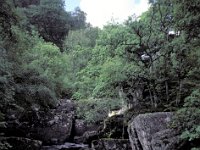 Scotland - Nr Perth Waterfall